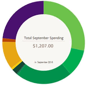 Mobile App Spending and Budgeting tool image